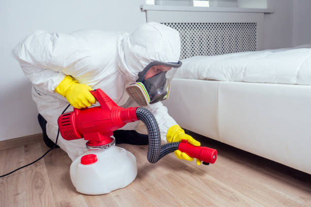 Reliable St Charles, MO Pest Control Solutions