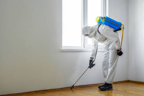Best Flea Control Services  in St Charles, MO