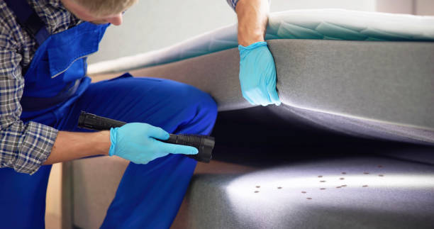 Best Bed Bug Extermination  in St Charles, MO